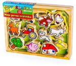 Teddies Filet de lemn Primele mele animale 12 bucăți într-o cutie (512013)