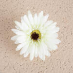  Gerbera selyemvirág fej, 9cm - Zöldes fehér (AF145-01)