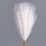 Valex Decor Pampafű köteg, 10 szál, 48cm magas - Ekrü (AF099-01)