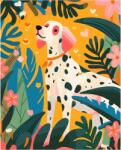 KOH-I-NOOR Set Pictura pe numere 40x50cm DALMATIAN