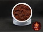 Dudi Bait Pasta Mister Red 500g