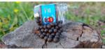 Dudi Bait Boilies pentru carlig Mister Dudi CARAMELE 10mm