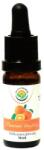 Salvia Paradise Ulei esențial - Portocală braziliană - 10 ml