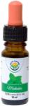 Salvia Paradise Ulei esențial - Roiniță - 10 ml