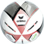 ERIMA Hybrid 2.0 Trainingsball 11TS Labda 750959 Méret 5 750959