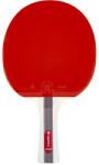 inSPORTline Paleta tenis de masa inSPORTline Shootfair S3 (21555) - sportist
