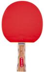 inSPORTline Paleta tenis de masa inSPORTline Shootfair S4 (21556) - sportist