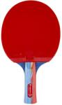 inSPORTline Paleta tenis de masa inSPORTline Shootfair S5 (21557)