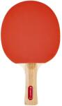 inSPORTline Paleta tenis de masa inSPORTline Shootfair S2 (21554)