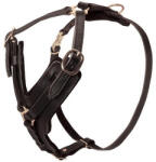 Exotic-K Ham L7 Piele - Forta 74-92 cm 25 mm Negru