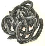 BERKLEY Egnc6-blk nightcrawler 6in black műcsali (1404419) - epeca