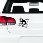 matrica. shop Tails matrica