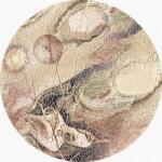 Covor lana rotund Bellona Dark Beige Selectează mărime: 160 X 160 Covor