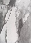  Covor lana Patara Selectează mărime: 240 X 340 Covor