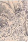  Covor lana Kelp Menta Selectează mărime: 300 X 400 Covor