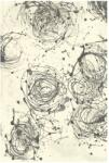  Covor lana Kianta pearl Selectează mărime: 200 X 300 Covor