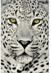  Covor Kolibri 11368-190 Leopard Selectează mărime: 200 X 300 Covor