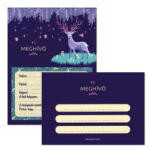  Parti meghívó borítékkal - többféle - vegyesbolt