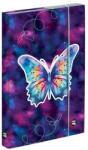 KARTON P+P Butterfly Purple pillangós füzetbox - A4 - OXY BAG (IMO-KPP-3-75625) - mindenkiaruhaza
