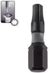 Dedra Ütvecsavarozó végek Torx T20x25mm, 2db 18A53T200-02 (18A53T200-02)