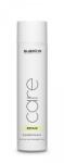 Subrina Professional Balsam pentru par Subrina Professional Care Repair, Par uscat si deteriorat, 250ml