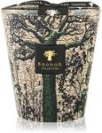 Baobab Collection Sacred Trees Kani illatgyertya 16 cm