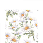 Ambiente Beautiful daisies white papírszalvéta 25x25cm, 20db-os