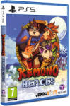 Tesura Games Kemono Heroes (PS5)