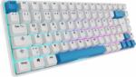 Sharkoon Skiller SGK50 S3 PBT (4044951039197)