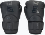 Everlast Mănuși de box Everlast Elite 2 Pro Boxing Leather black
