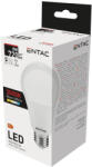 Entac LED izzó Globe E27 8W WW 3000K 5999097977706 (LLG27-8W-WW)
