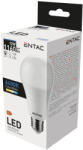 Entac LED izzó Globe E27 12W CW 6400K 5999097903781 (LLG27-12W-CW)
