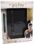 Flair Harry Potter: Tom Denem mágikus naplója (WW-1025)