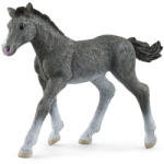 Schleich Schleich: Trakehner csikó figura (13944) (SLH13944) - jatekshop
