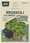 erbgruen Brokkoli Calabrese - BIO Mikrozöld/Csíra magok - 1 csomag
