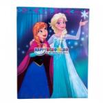 Licenta Coperta carte speciala 1 Frozen