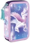 KARTON P+P Penar 2 fermoare Pegasus neechipat Oxy Penar
