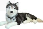 Dubi Toys Plus catel Husky 60 cm