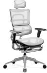 Diablo Chairs V-Master
