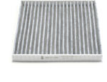 Asam Automotive Filtru Habitaclu C. A. Spring