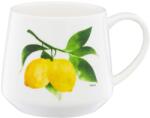 Ambition Cana 460ml, design lamaie, Frutti (19925)