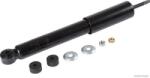 Herth+buss Jakoparts Amortizor HERTH+BUSS JAKOPARTS J4308009 (J4308009) - fixbox