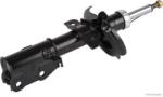 Herth+buss Jakoparts Amortizor HERTH+BUSS JAKOPARTS J4313008 (J4313008) - fixbox