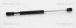 TRISCAN Amortizor capota TRISCAN 8710 17102 (8710 17102) - fixbox