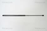 TRISCAN Amortizor capota TRISCAN 8710 67100 (8710 67100) - fixbox