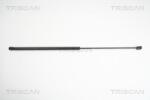 TRISCAN Amortizor capota TRISCAN 8710 29125 - fixbox