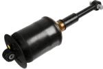 SACHS Amortizor SACHS 317 325 (317 325) - fixbox