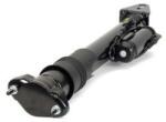 Arnott Amortizor Arnott ulei spate SK-3262 (SK-3262)