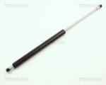 TRISCAN Amortizor capota TRISCAN 8710 12102 (8710 12102) - fixbox