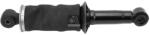 DT Spare Parts Amortizor, suspensie cabina DT Spare Parts 2.70094 (2.70094) - fixbox